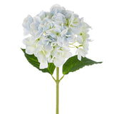 Real Touch Hydrangea Stem