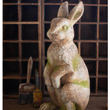 Concrete Rabbit