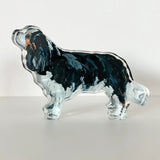 Dog Acrylic Block