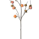 Persimmon Branch