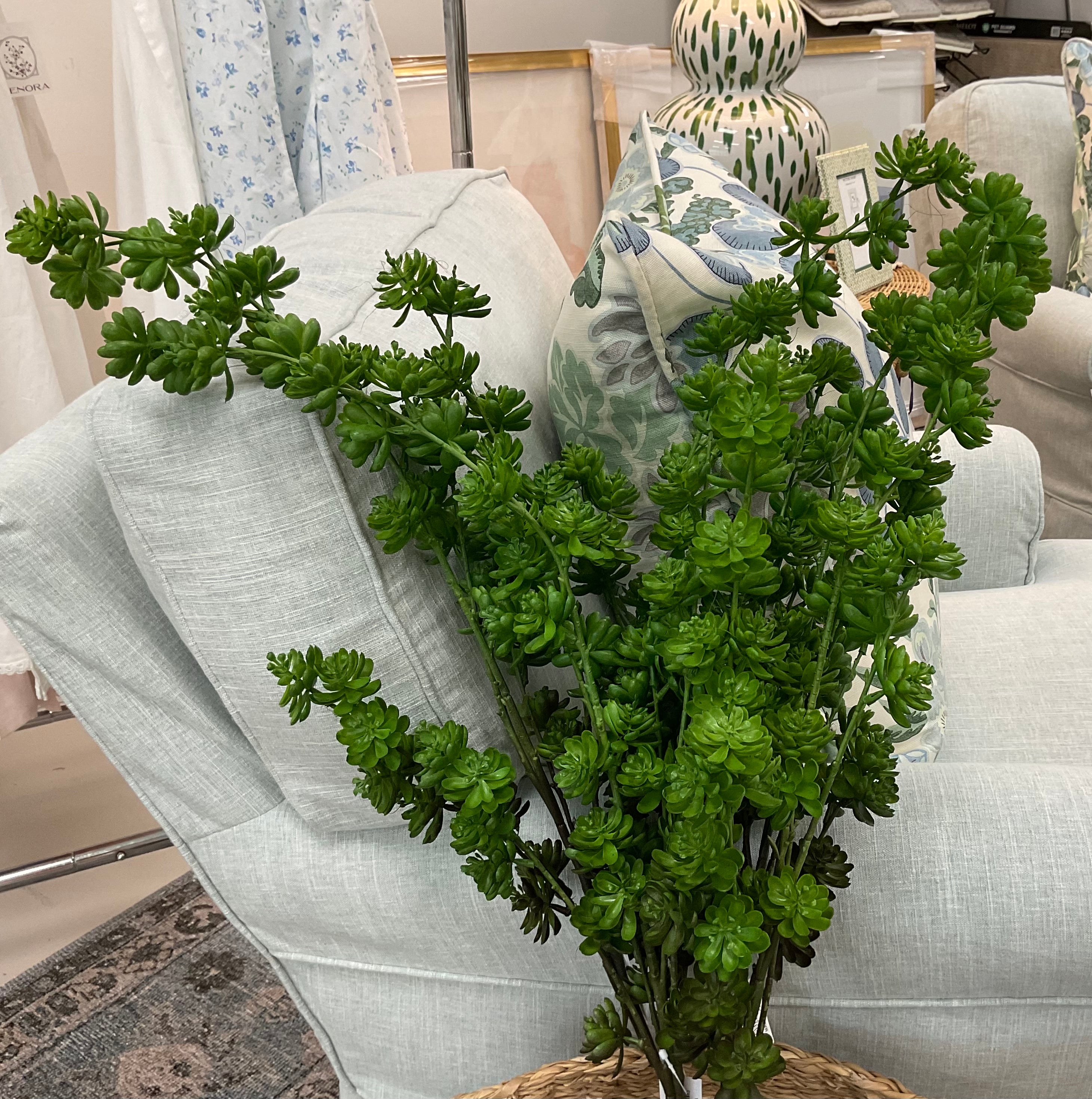 spray for succulent plants 42 Inch Green Succulent Spray – Park Place Midtown