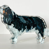 Mini King Charles Cavalier