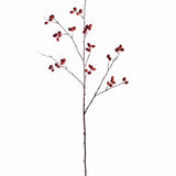 Rosehip Branch 43”