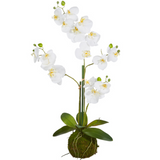 Real Touch White Orchid Moss Ball