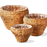 Westport Hyacinth Planter