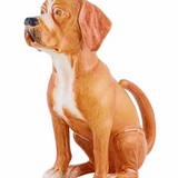 Dog Pitcher