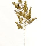 Eucalyptus Stem Gold