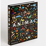 Animal: Exploring the Zoological World