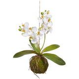 Real Touch White Orchid With Moss Ball 15"