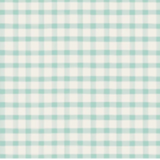 Seafoam Painted Check Placemat