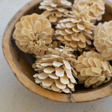 Bleached Pinecone Bag