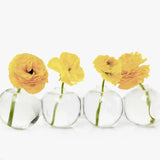 Caterpillar Bud Vase Glass - Large