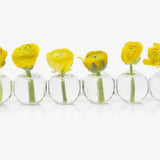 Caterpillar Bud Vase Glass - Small