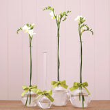Sleek & Chic Glass Bubble Vase