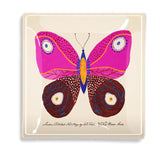 Pink Maldives Butterfly