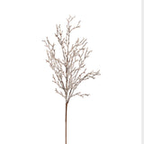 Iced  Branch