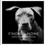 Finding Home Shelter Dogs & their Stories