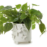 Butterfly Footed Cachepot