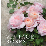 Vintage Roses