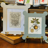 Garner Frames