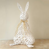 Willow Peter Rabbit Bright White 11x20