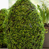 Belmont Egg Decor Green /brown 9.8x15