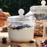 Bilia Jar With Lid