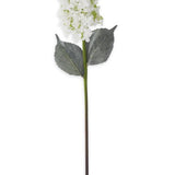28” White Cone Hydrangea