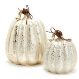 Touch Of Gold Decorative Pumpkins