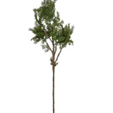 Juniper Spray