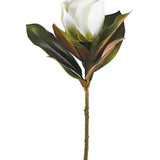 Magnolia Stem 17.5”