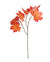 Maple Leaf Branch 30.5”