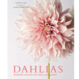 Dahlias