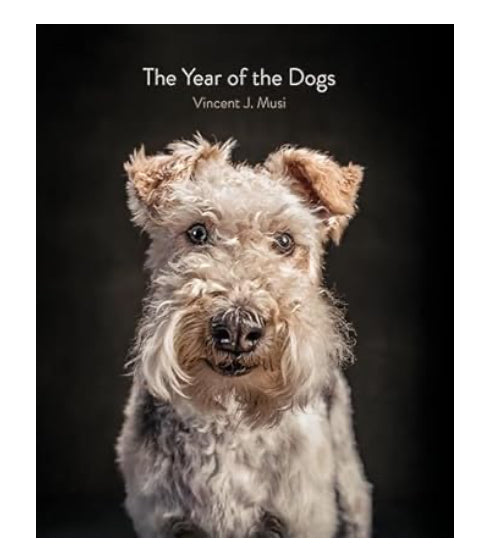 The Year Of The Dogs