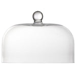 Jupiter Glass Dome