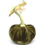 Hot Skwash Silk Velvet Pumpkins