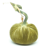 Hot Skwash Silk Velvet Pumpkins