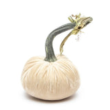 Hot Skwash Silk Velvet Pumpkins