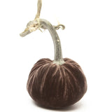 Hot Skwash Silk Velvet Pumpkins