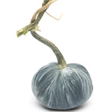 Hot Skwash Silk Velvet Pumpkins
