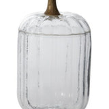 Translucent Pumpkin Terrarium