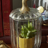 Translucent Pumpkin Terrarium