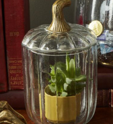 Translucent Pumpkin Terrarium