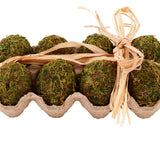 Moss Egg Fillers
