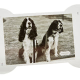 Dog Bone Acrylic Frame