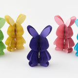 Accordion Bunny