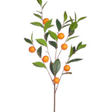 Orange Spray
