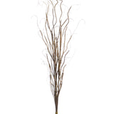 36’ Curly Willow