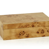 Leiden Burl Wood Box