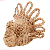 Hyacinth Turkey Sitter